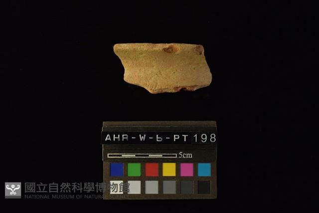 Accession Number:AHR-W-b-PT198 Collection Image, Figure 1, Total 4 Figures