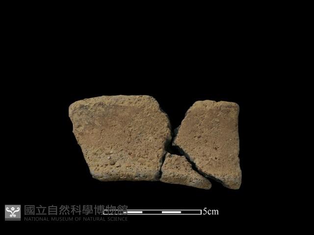 陶片藏品圖，第2張