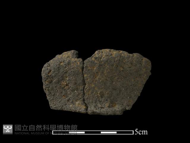 陶片藏品圖，第1張