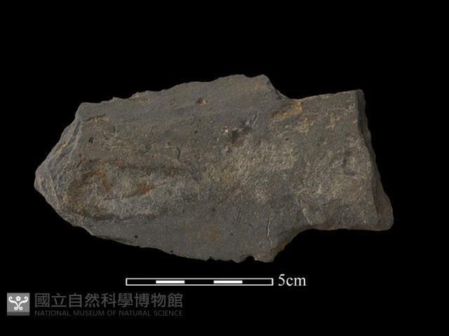 戈形器藏品圖，第1張