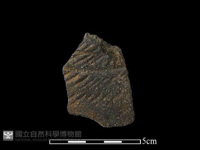 陶片藏品圖，第1張