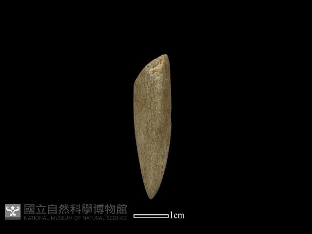 磨製石器藏品圖，第2張