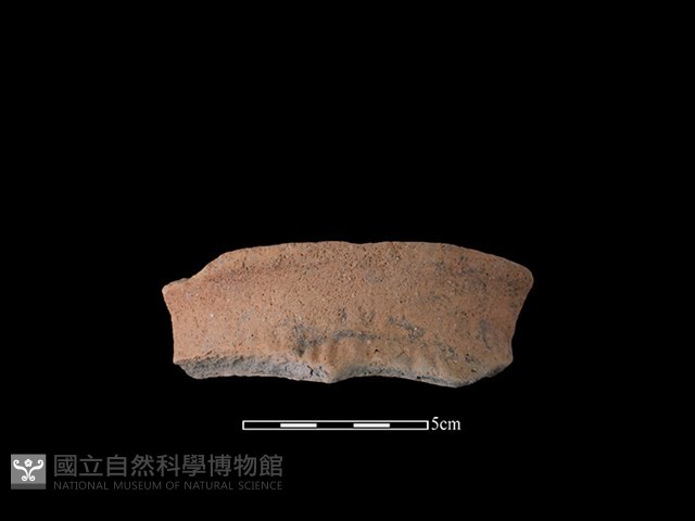 陶罐藏品圖，第1張