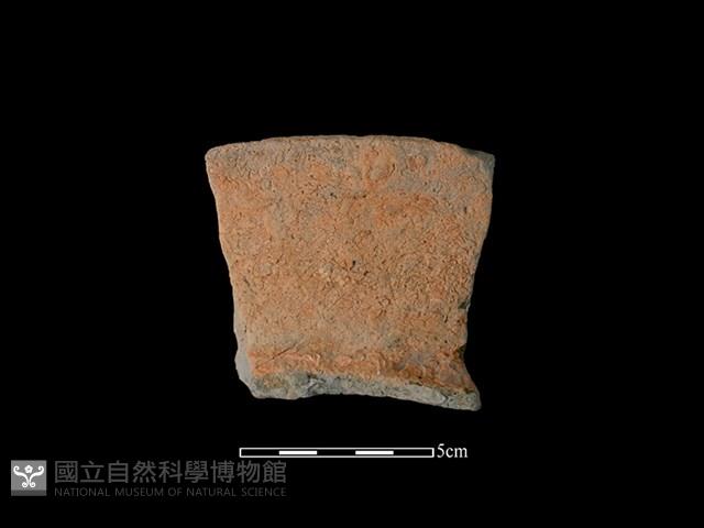 陶罐藏品圖，第1張