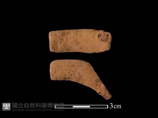 陶片藏品圖，第1張