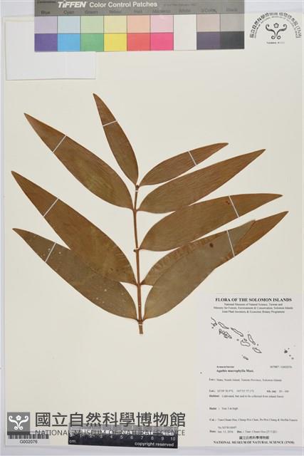 登錄號:G002076藏品圖，第1張