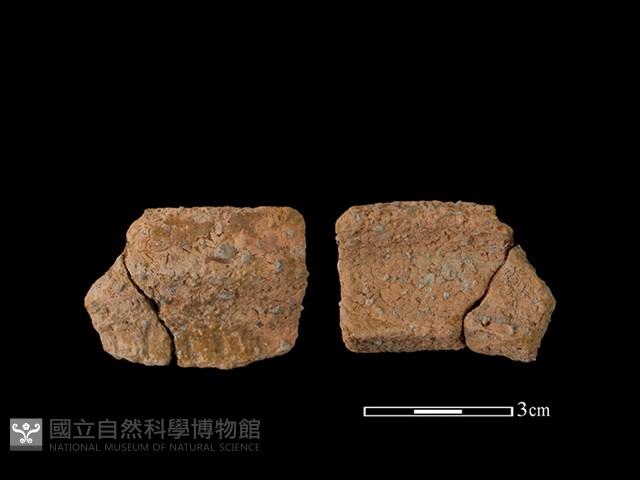 陶罐藏品圖，第1張