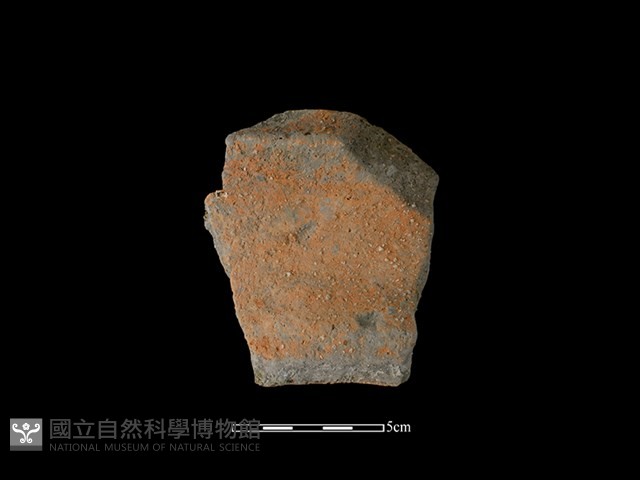 陶罐藏品圖，第1張