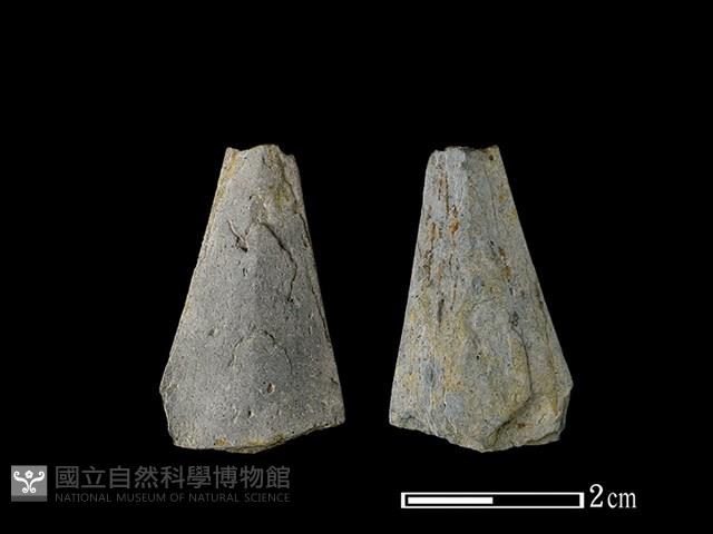 矛鏃形器藏品圖，第1張