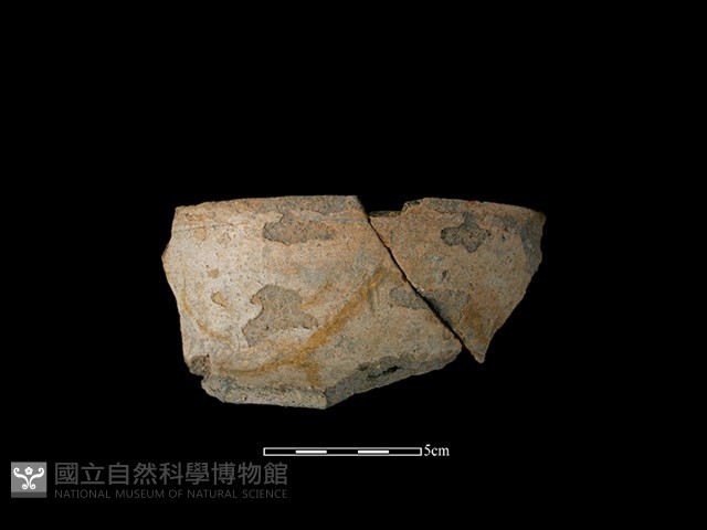 陶罐藏品圖，第1張