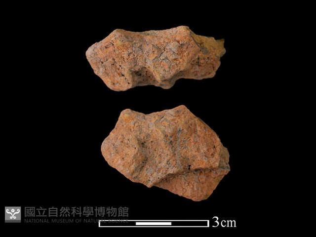 陶罐藏品圖，第1張