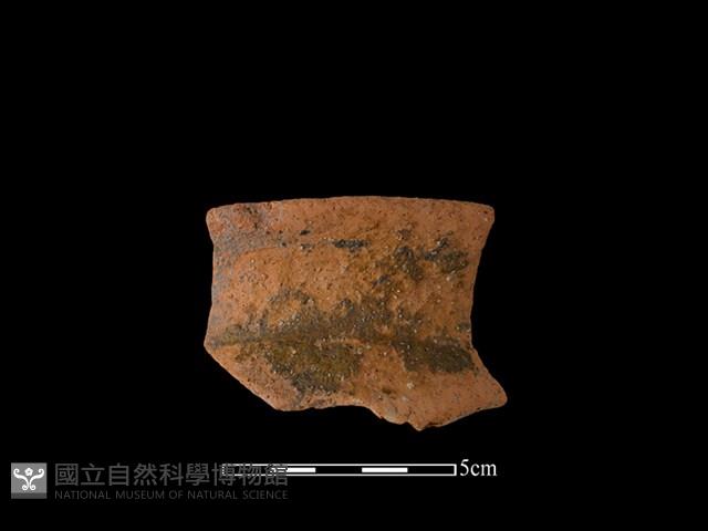 陶罐藏品圖，第1張