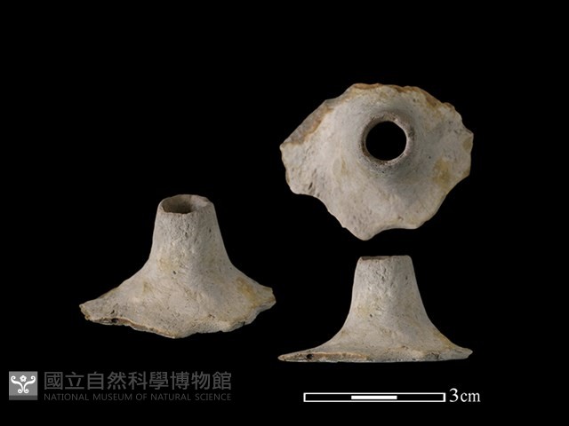 紡輪藏品圖，第1張