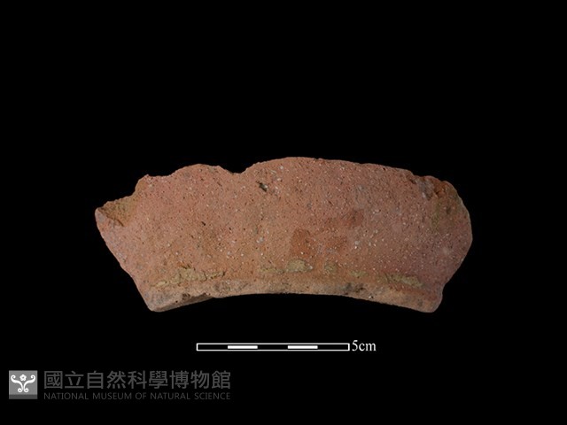 陶罐藏品圖，第1張
