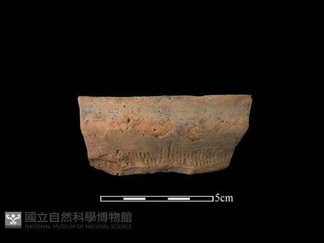 陶罐藏品圖，第1張