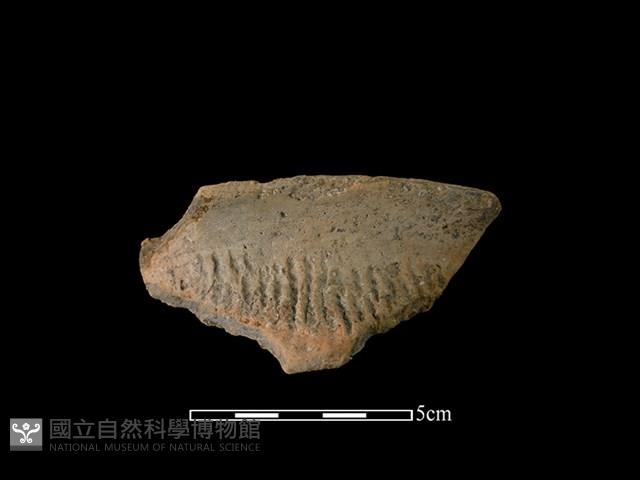 陶罐藏品圖，第1張