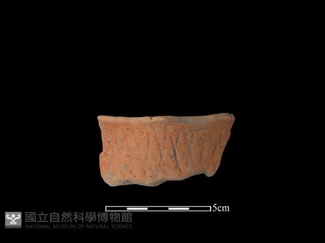 連杯形器藏品圖，第1張