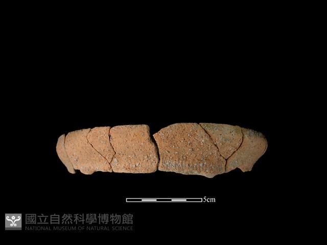 陶罐藏品圖，第1張