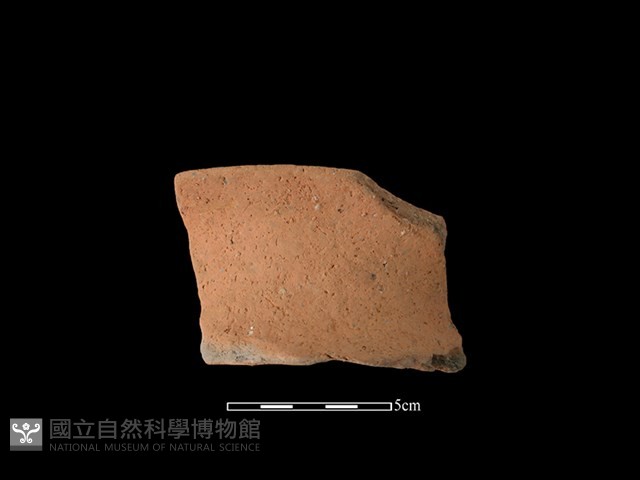 陶罐藏品圖，第1張