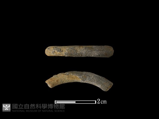 陶環藏品圖，第1張