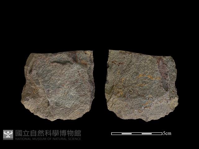 斧鋤形器藏品圖，第1張