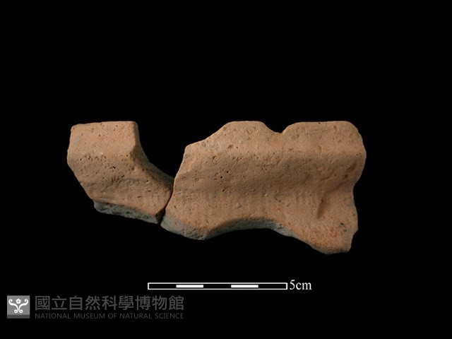 陶罐藏品圖，第1張