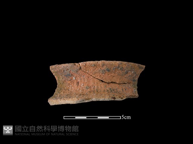陶罐藏品圖，第1張