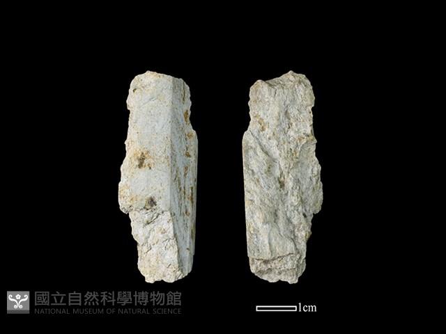 磨製石器藏品圖，第1張