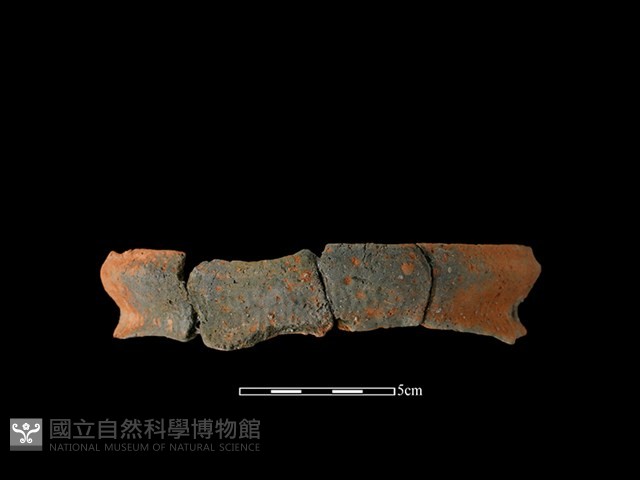陶罐藏品圖，第1張