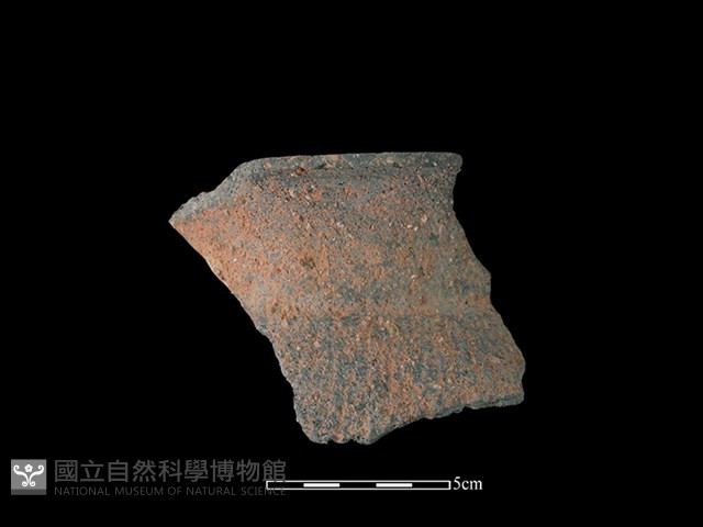 陶罐藏品圖，第1張