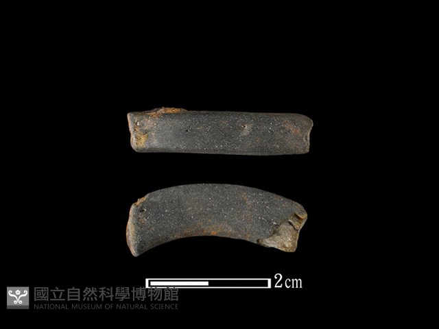 陶環藏品圖，第1張