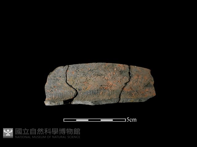 陶罐藏品圖，第1張