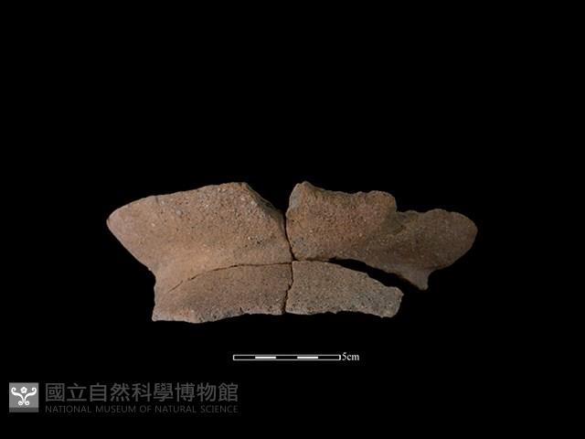 陶罐藏品圖，第1張