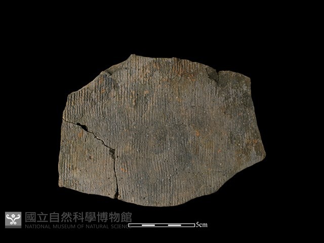 帶紋飾陶片藏品圖，第1張
