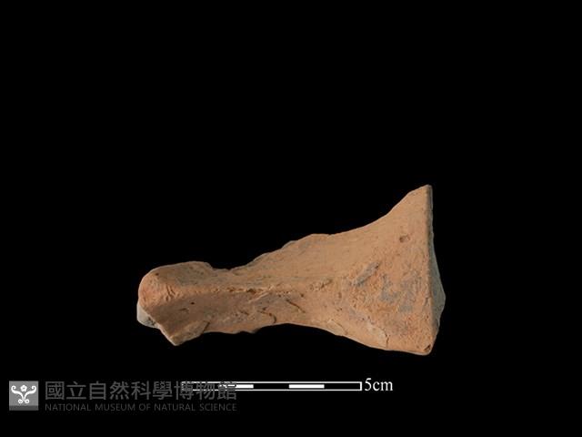 連杯形器藏品圖，第1張