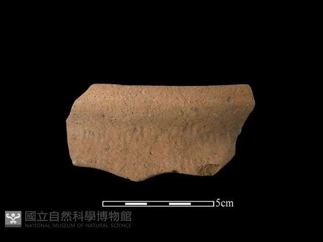 陶罐藏品圖，第1張
