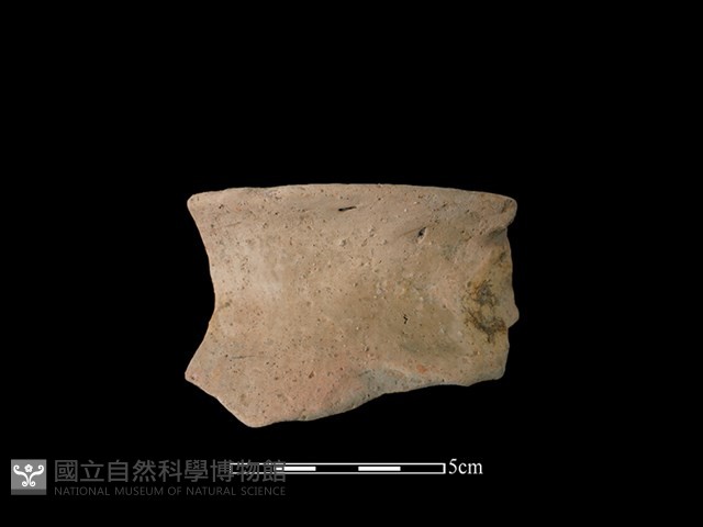 陶罐藏品圖，第1張