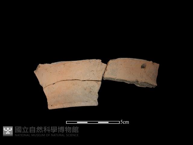 Accession Number:HL-LF78-2019-752 Collection Image, Figure 1, Total 2 Figures