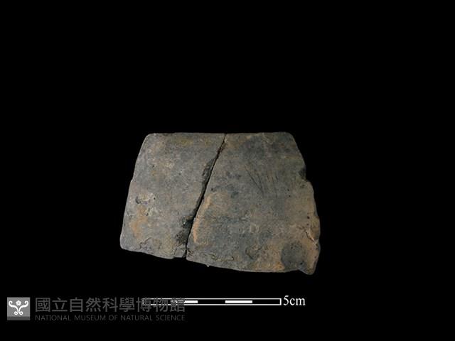 陶缽藏品圖，第1張