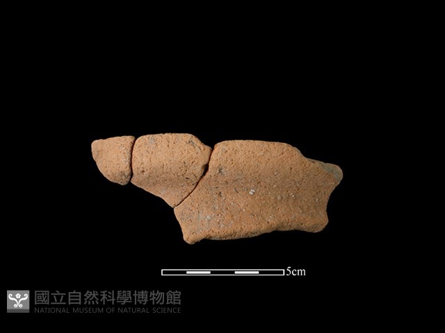 陶罐藏品圖，第1張