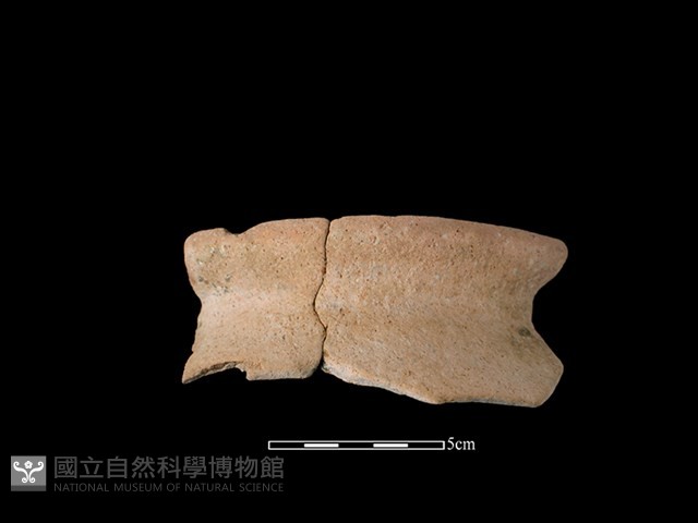 陶罐藏品圖，第1張