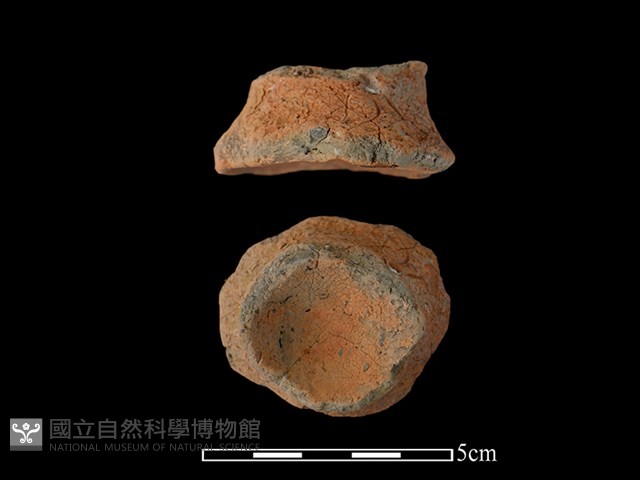 陶蓋鈕藏品圖，第1張