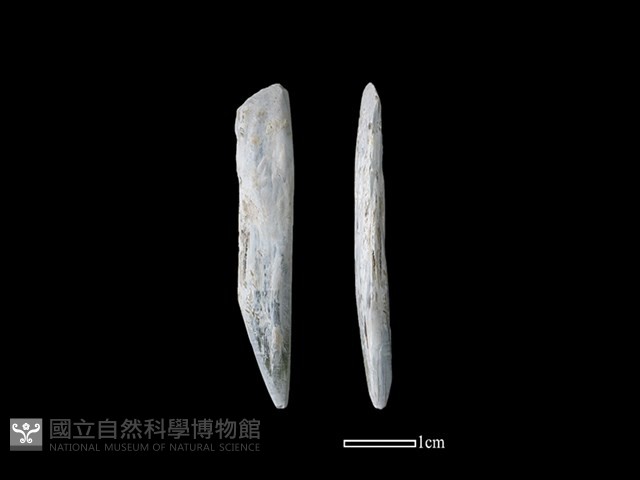 錛鑿形器藏品圖，第1張