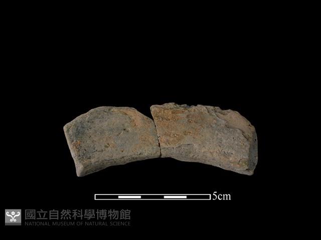 連杯形器藏品圖，第1張