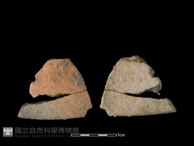 陶罐藏品圖，第1張