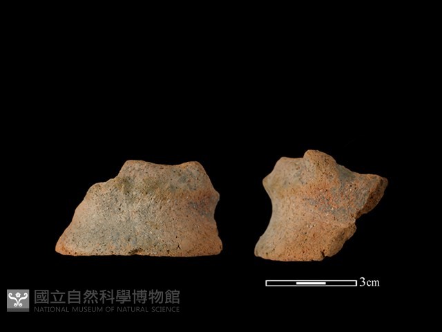 陶片藏品圖，第1張