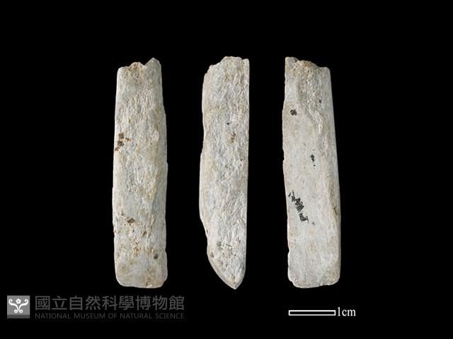 錛鑿形器藏品圖，第1張