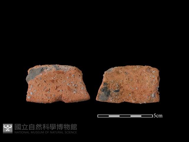 陶罐藏品圖，第1張