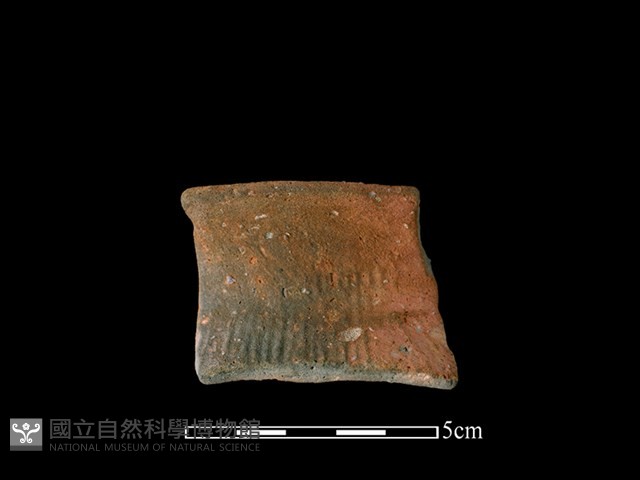 陶罐藏品圖，第1張