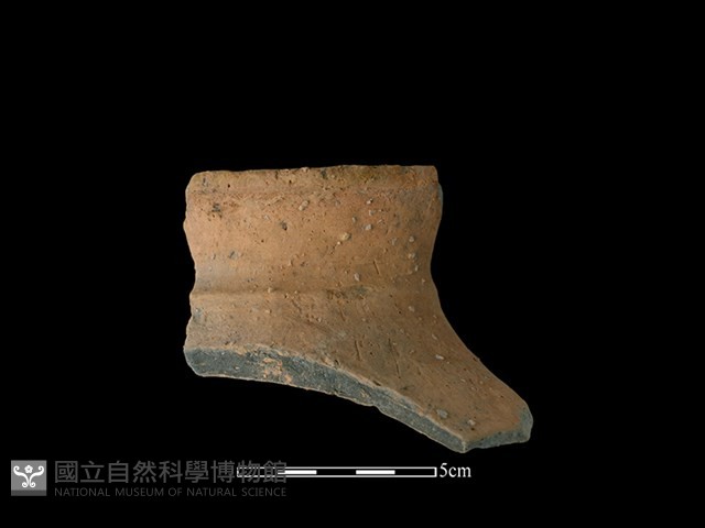 陶罐藏品圖，第1張